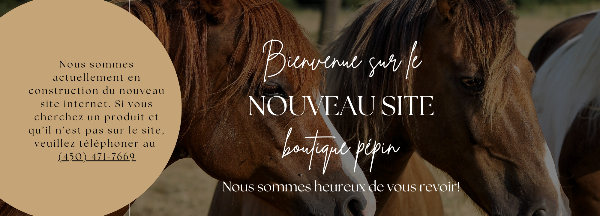 Banniere boutique nouveau site (1)